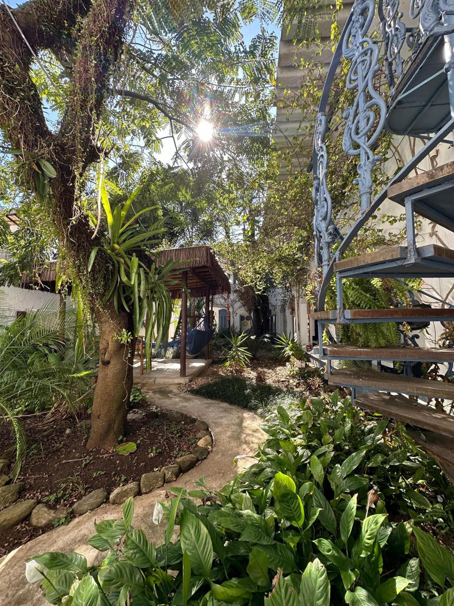 Brisa Do Mar Bare Praia Hotel - Praia De Barequecaba 圣塞巴斯蒂安 外观 照片